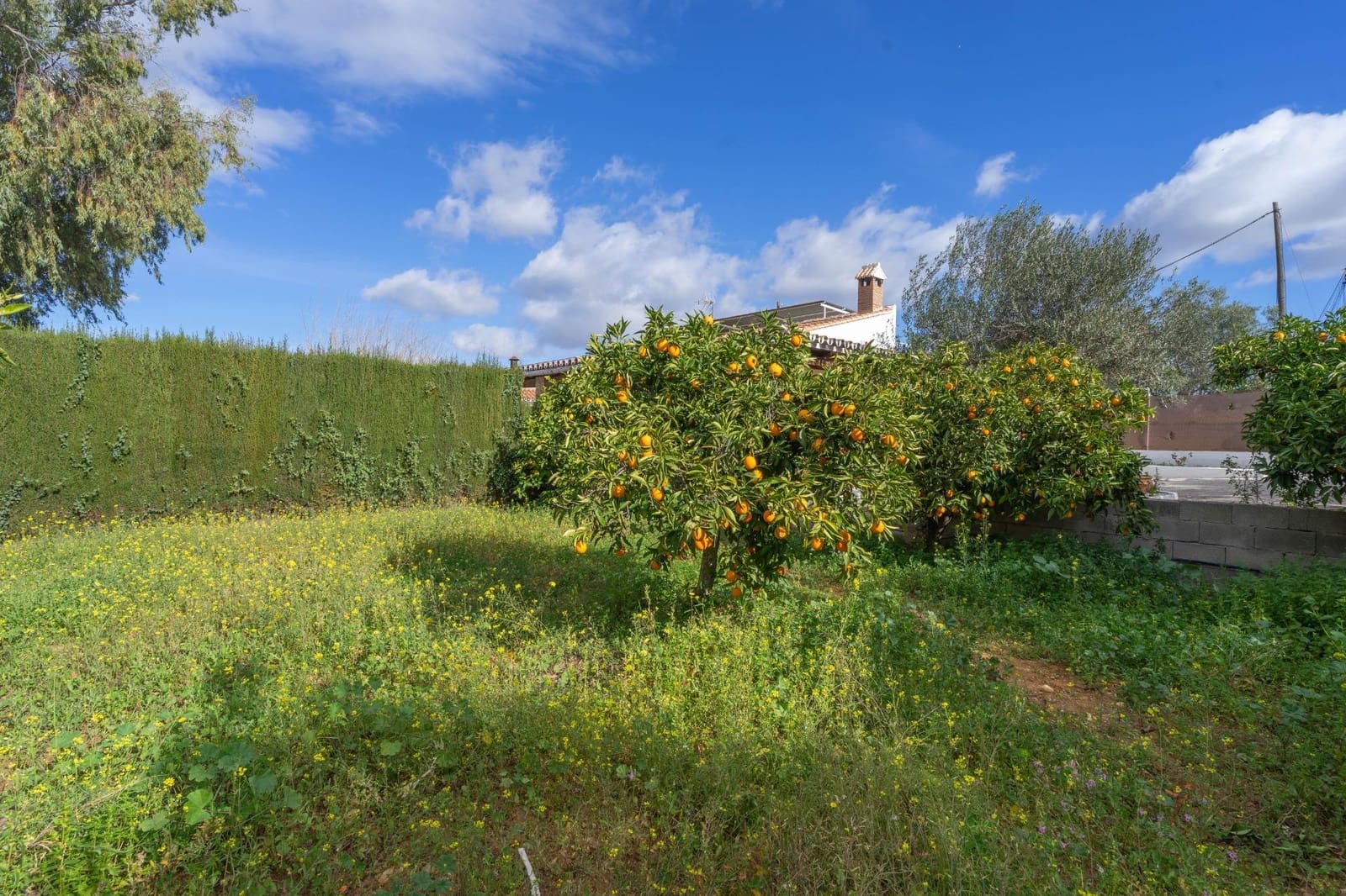 3 makuuhuone Huvila vuokrattavana paikassa Alhaurin el Grande mukana uima-altaan 
autotalli - 1 750 € (Ref: 8142749)