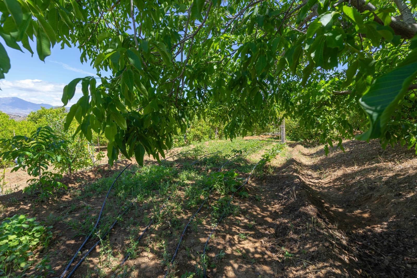 2 soveværelse Villa til salg i Alhaurin el Grande - € 275.000 (Ref: 8385072)