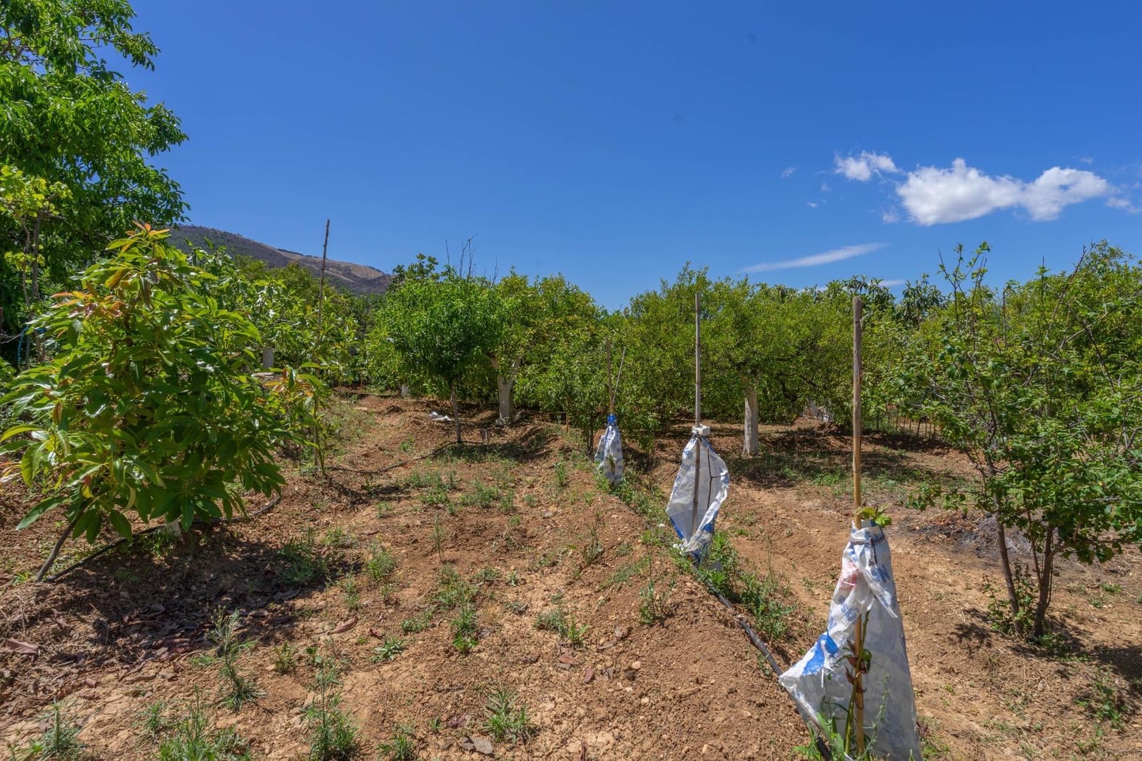 2 soveværelse Villa til salg i Alhaurin el Grande - € 275.000 (Ref: 8385072)