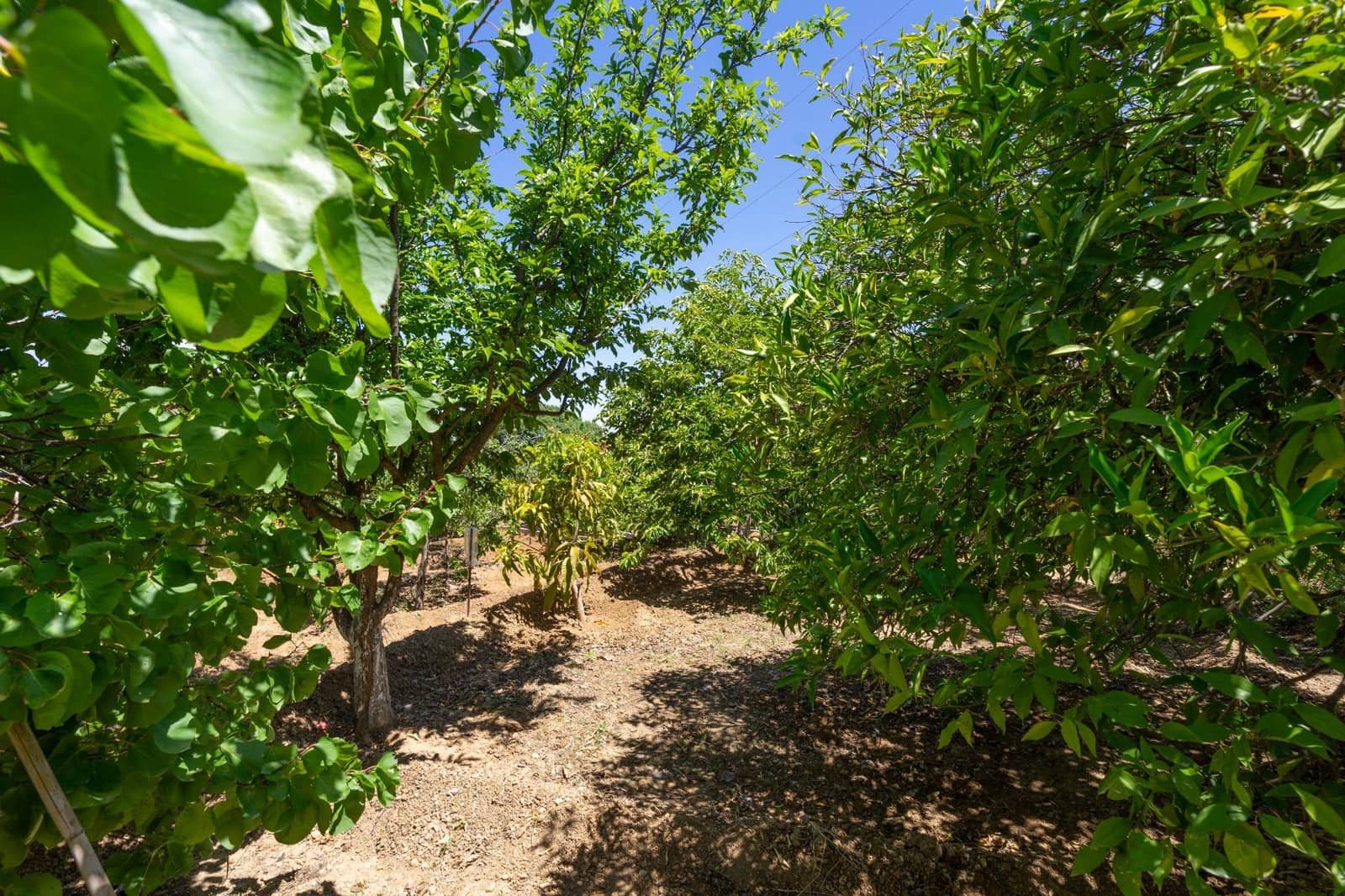 2 soveværelse Villa til salg i Alhaurin el Grande - € 275.000 (Ref: 8385072)