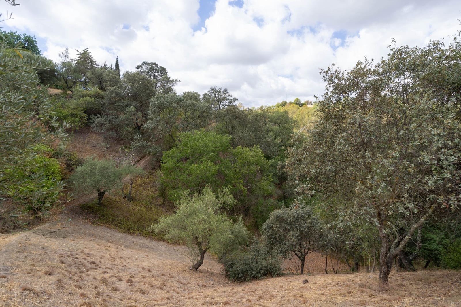 5 soveværelse Villa til salg i Alhaurin el Grande med swimmingpool garage - € 550.000 (Ref: 8514443)