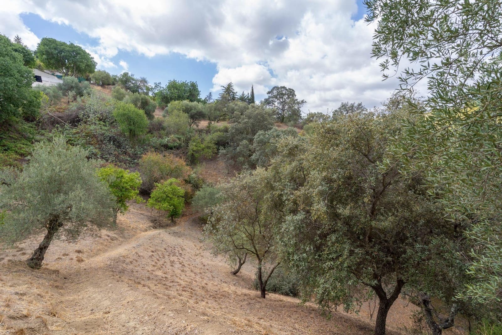 5 soveværelse Villa til salg i Alhaurin el Grande med swimmingpool garage - € 550.000 (Ref: 8514443)