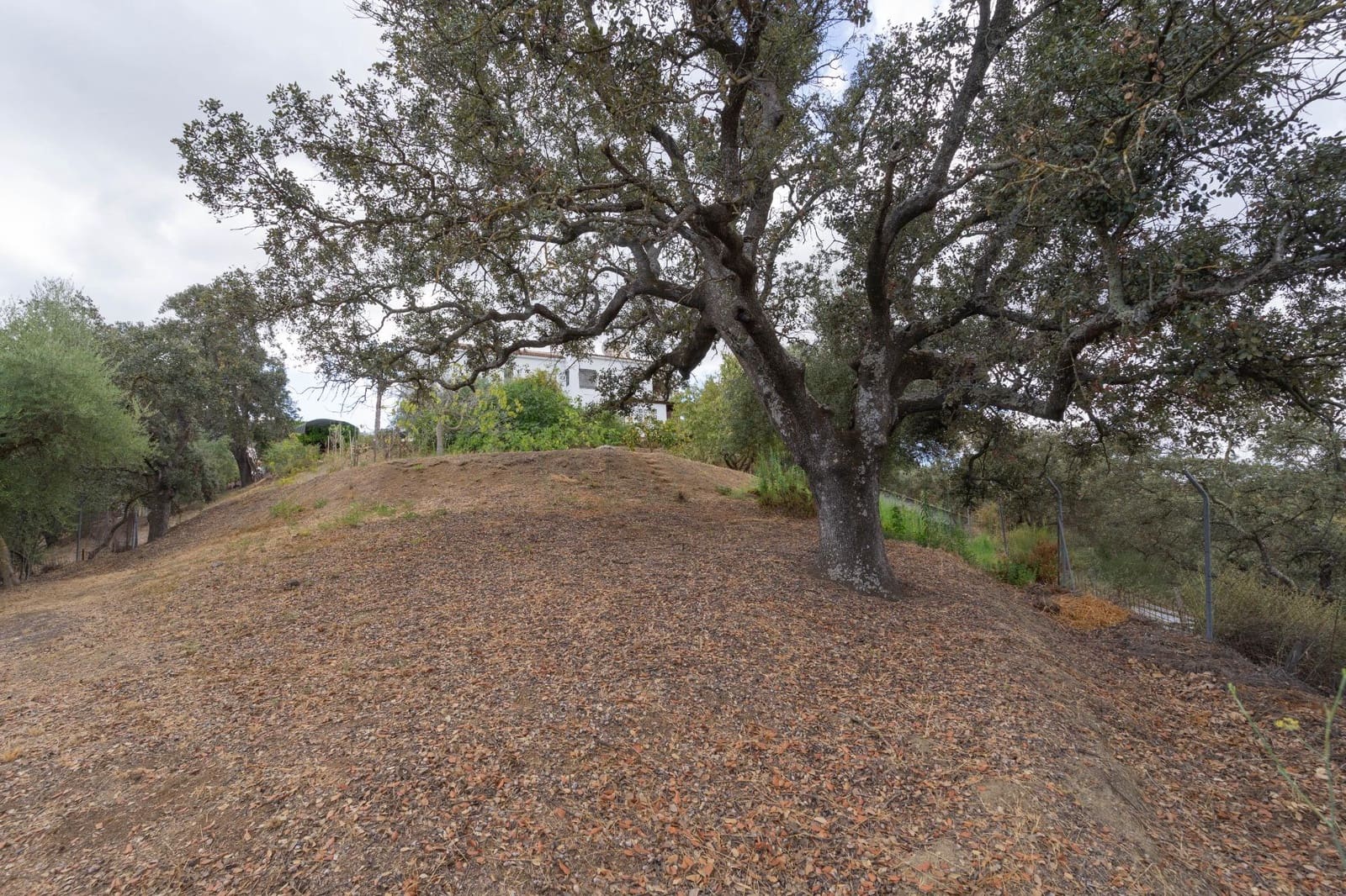 5 soveværelse Villa til salg i Alhaurin el Grande med swimmingpool garage - € 550.000 (Ref: 8514443)