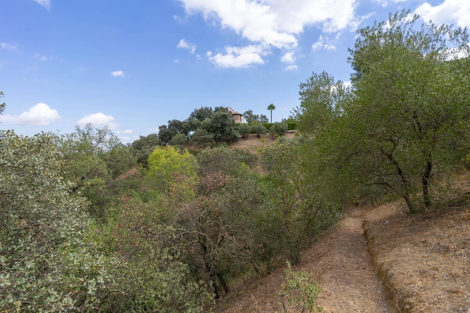 5 soveværelse Villa til salg i Alhaurin el Grande med swimmingpool garage - € 550.000 (Ref: 8514443)