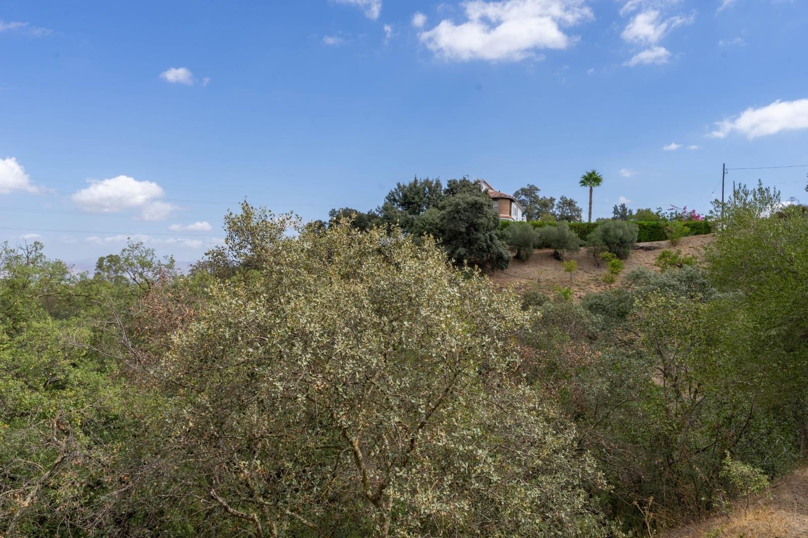 5 soveværelse Villa til salg i Alhaurin el Grande med swimmingpool garage - € 550.000 (Ref: 8514443)