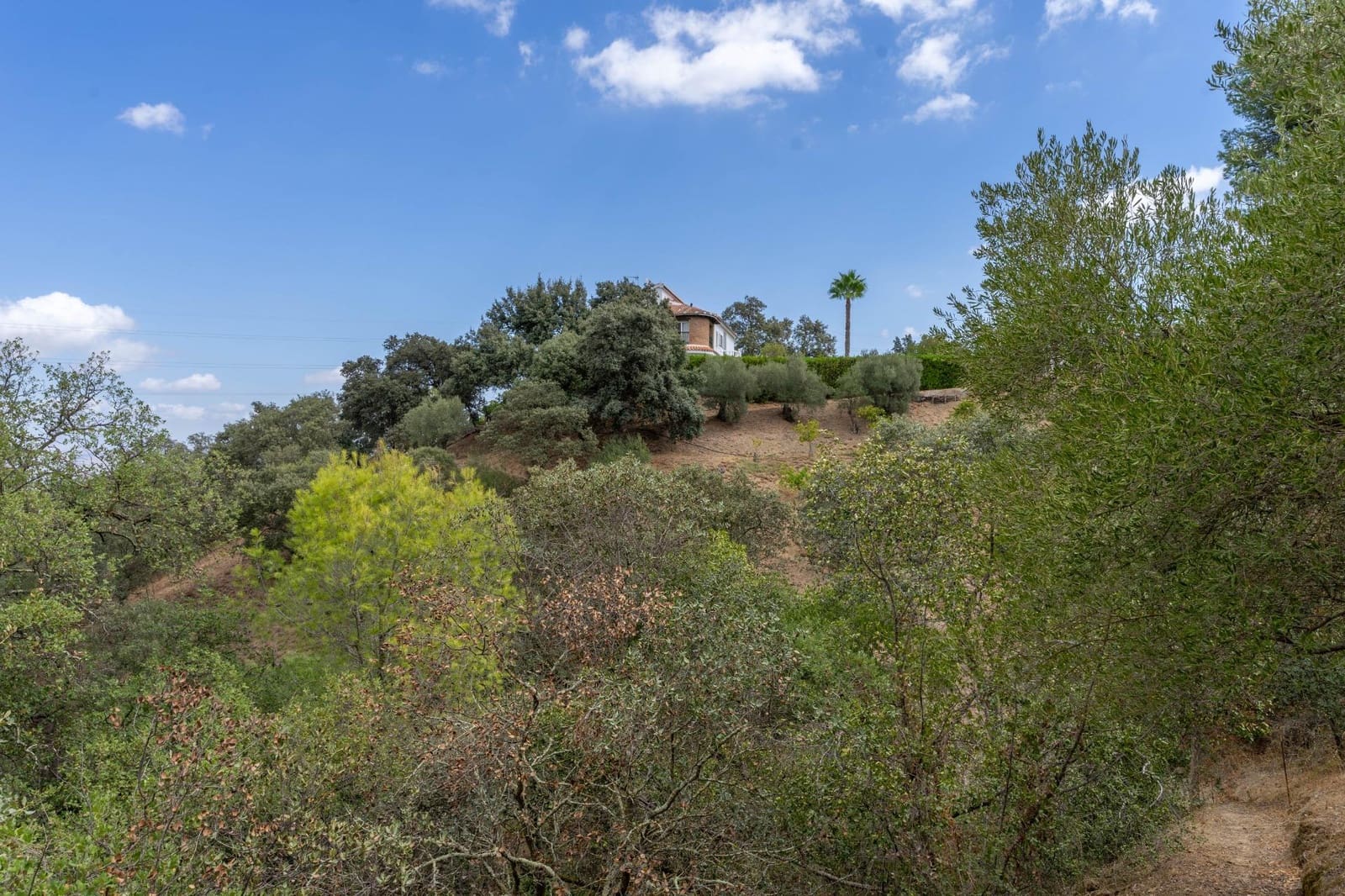 5 soveværelse Villa til salg i Alhaurin el Grande med swimmingpool garage - € 550.000 (Ref: 8514443)