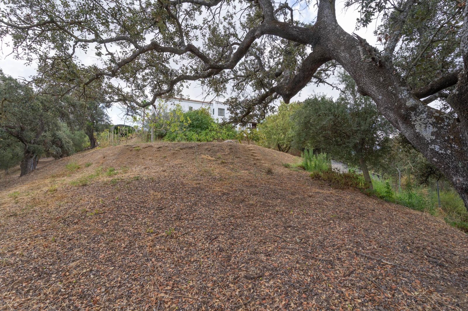 5 soveværelse Villa til salg i Alhaurin el Grande med swimmingpool garage - € 550.000 (Ref: 8514443)