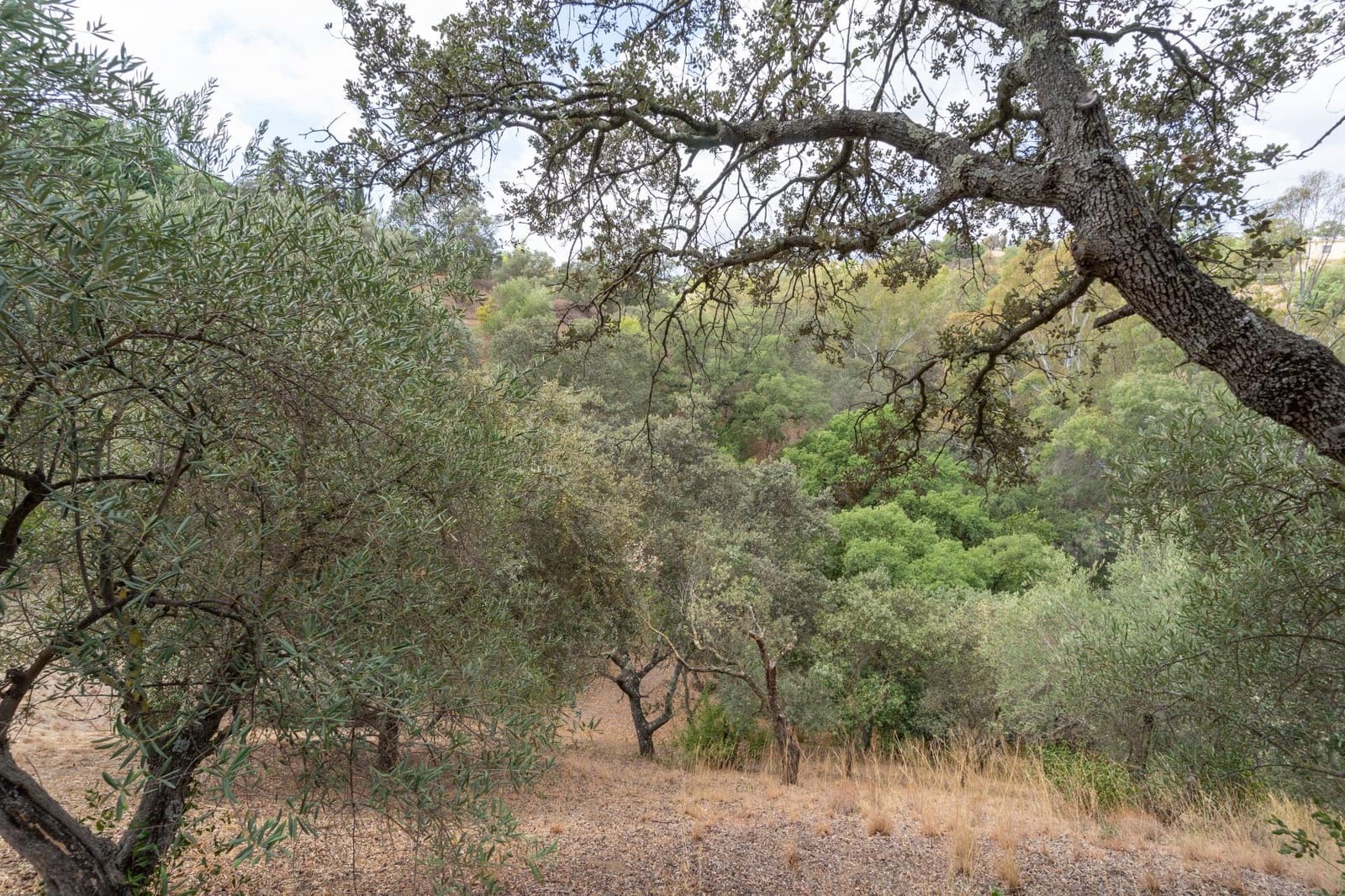 5 soveværelse Villa til salg i Alhaurin el Grande med swimmingpool garage - € 550.000 (Ref: 8514443)