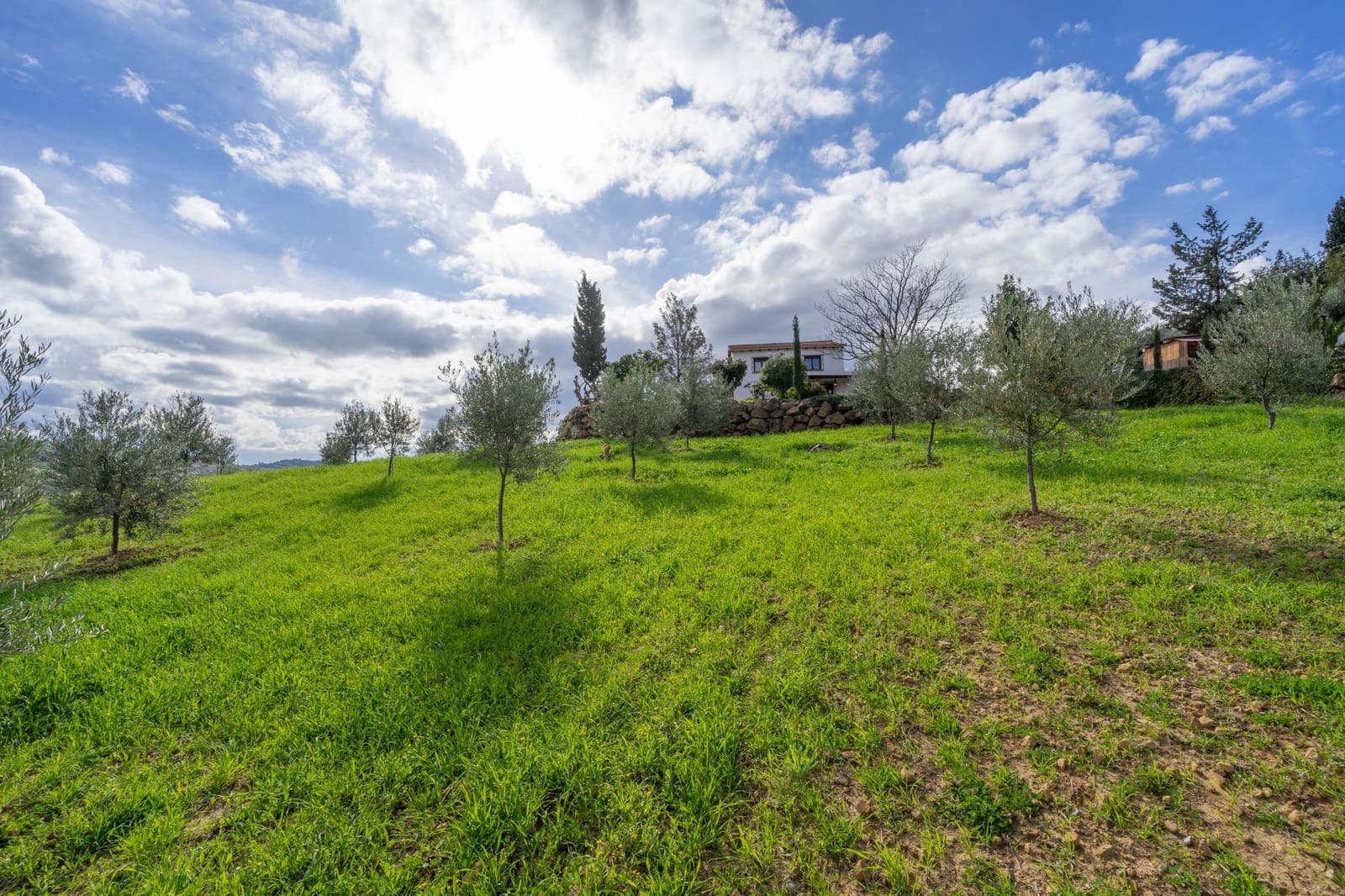 5 soverom Villa til salgs i Alora - € 350 000 (Ref: 8694142)