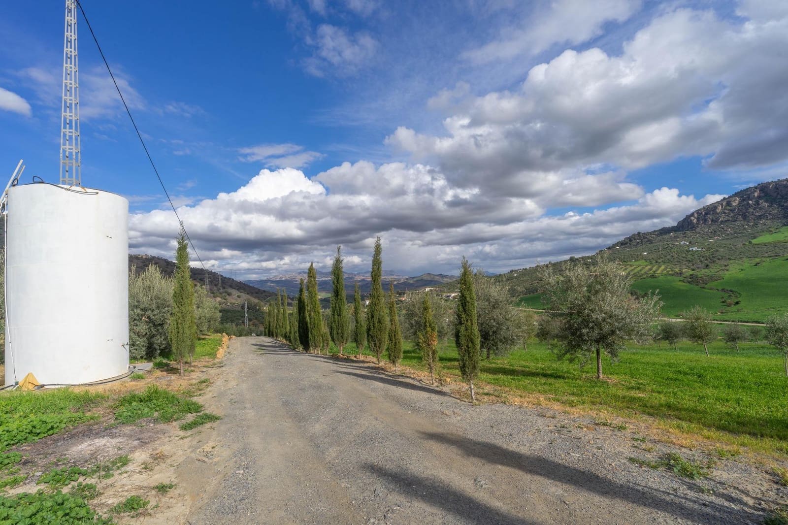 5 soverom Villa til salgs i Alora - € 350 000 (Ref: 8694142)