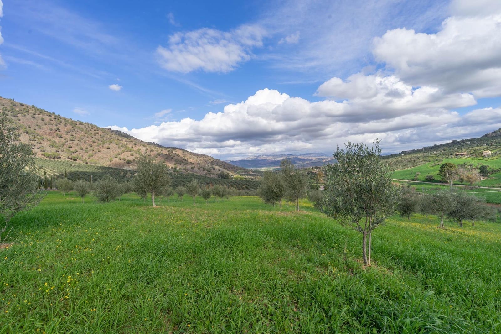5 soverom Villa til salgs i Alora - € 350 000 (Ref: 8694142)