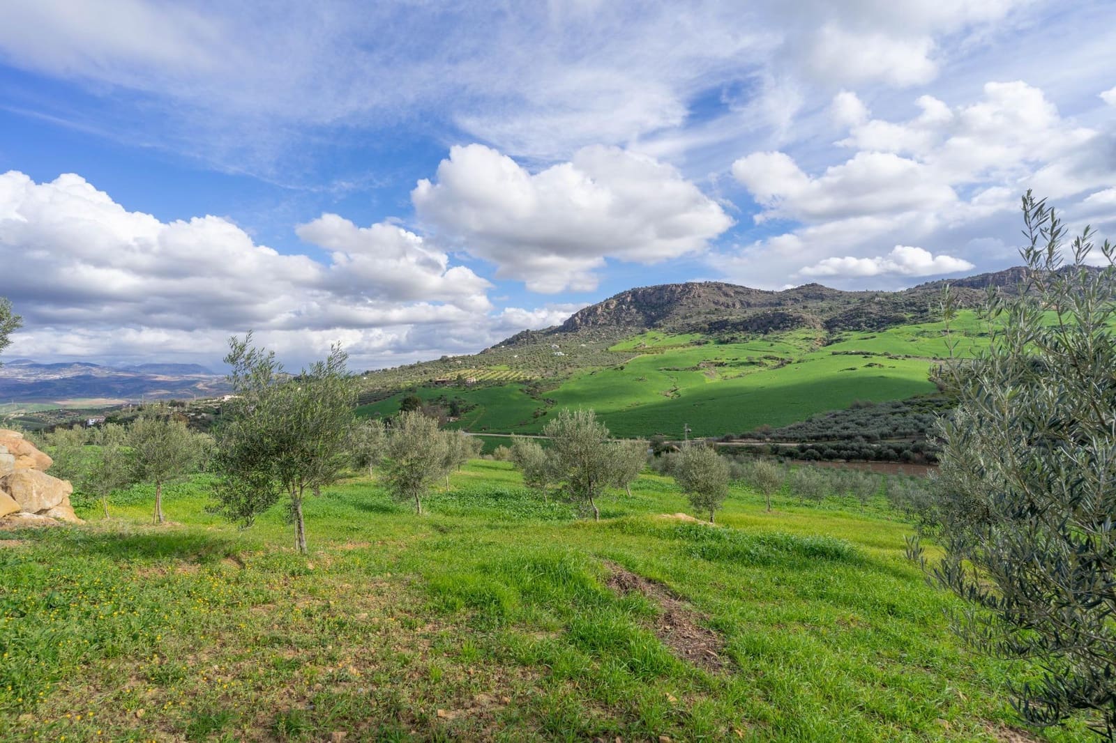 5 soverom Villa til salgs i Alora - € 350 000 (Ref: 8694142)