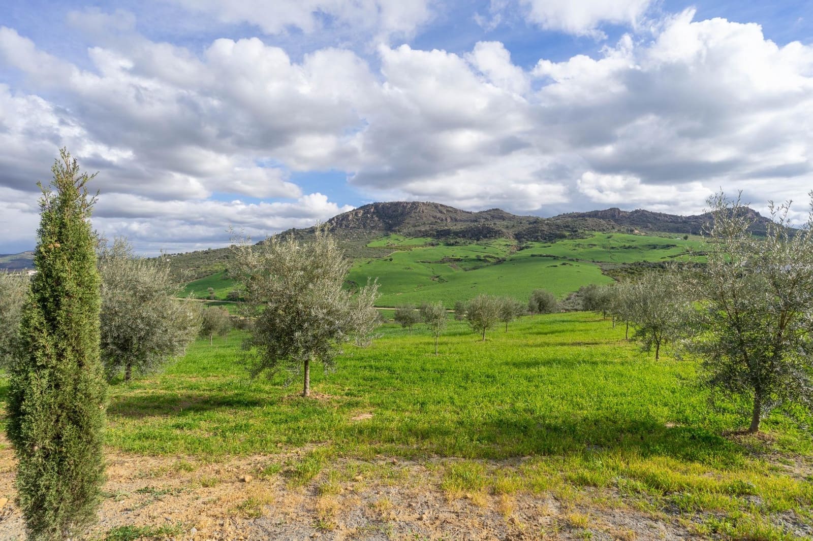 5 soverom Villa til salgs i Alora - € 350 000 (Ref: 8694142)
