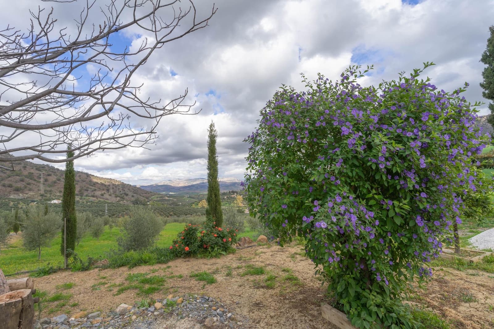 5 soverom Villa til salgs i Alora - € 350 000 (Ref: 8694142)