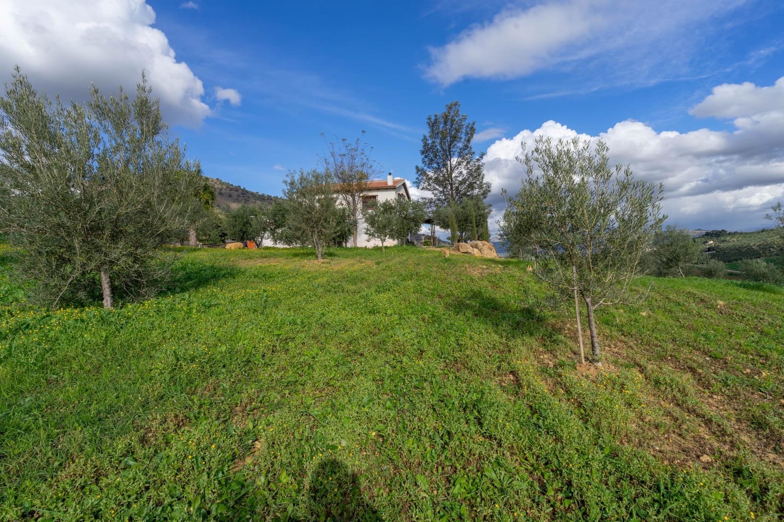 5 soverom Villa til salgs i Alora - € 350 000 (Ref: 8694142)