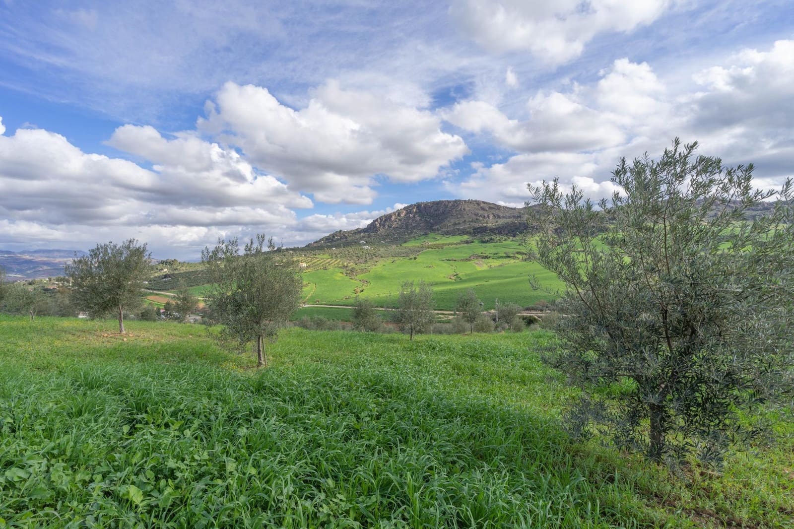 5 soverom Villa til salgs i Alora - € 350 000 (Ref: 8694142)