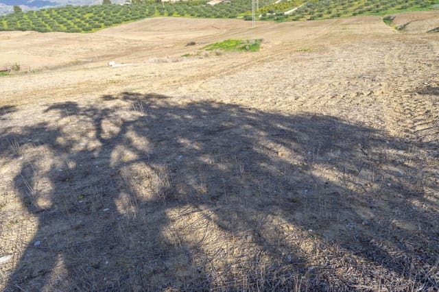 Undeveloped Land for sale in Alhaurín el Grande - € 70,000 (Ref: 8743450)