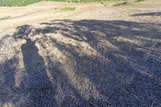 Undeveloped Land for sale in Alhaurín el Grande - € 70,000 (Ref: 8743450)