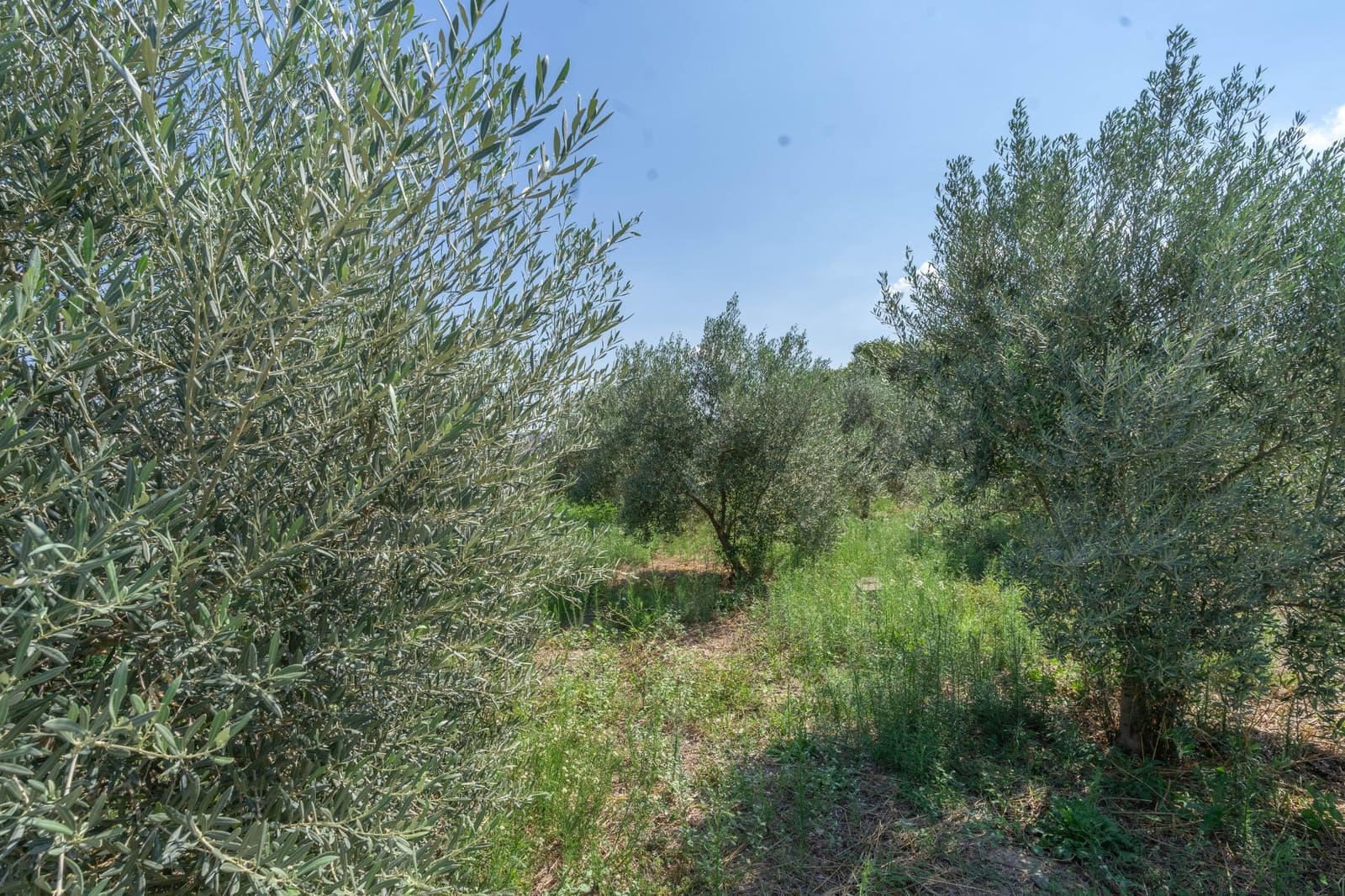 2 sypialnia Willa na sprzedaż w Alhaurin el Grande - 330 000 € (Ref: 8755659)