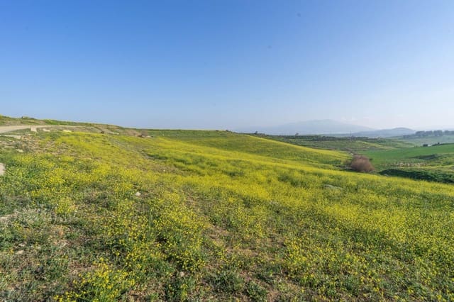 Grunde uden byggetilladelser til salg i Cártama - € 200.000 (Ref: 8847641)