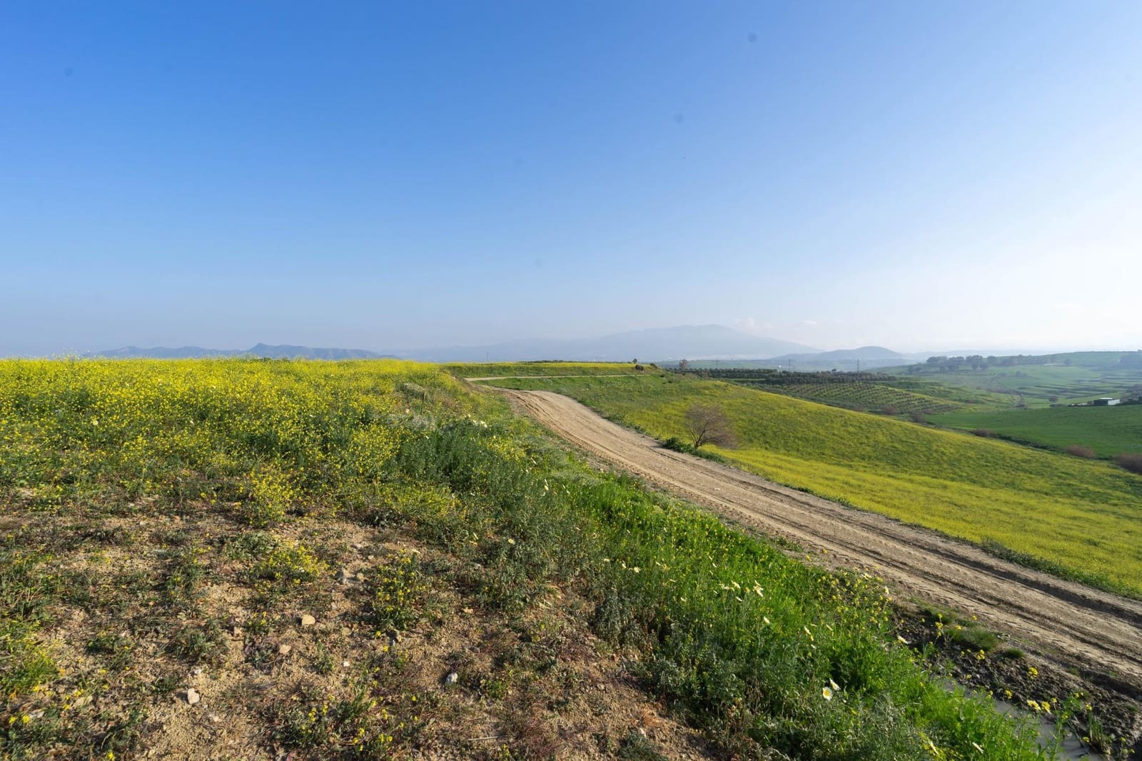 Teren niezagospodarowany na sprzedaż w Cartama - 200 000 € (Ref: 8847641)