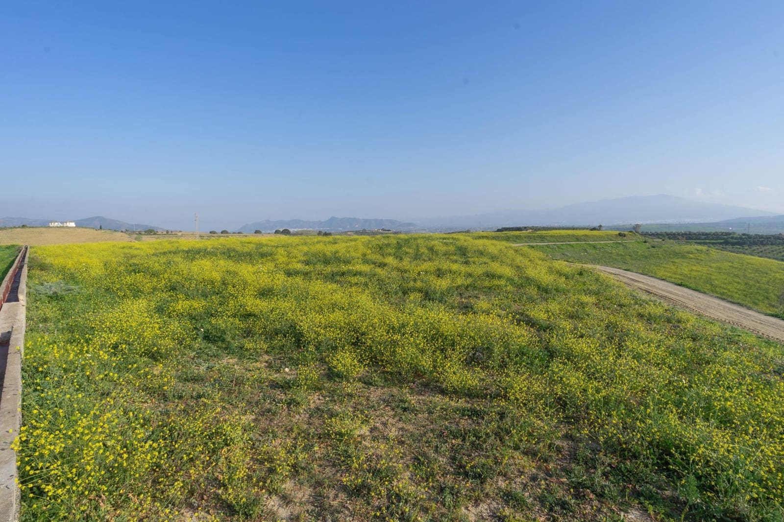 Teren niezagospodarowany na sprzedaż w Cartama - 200 000 € (Ref: 8847641)