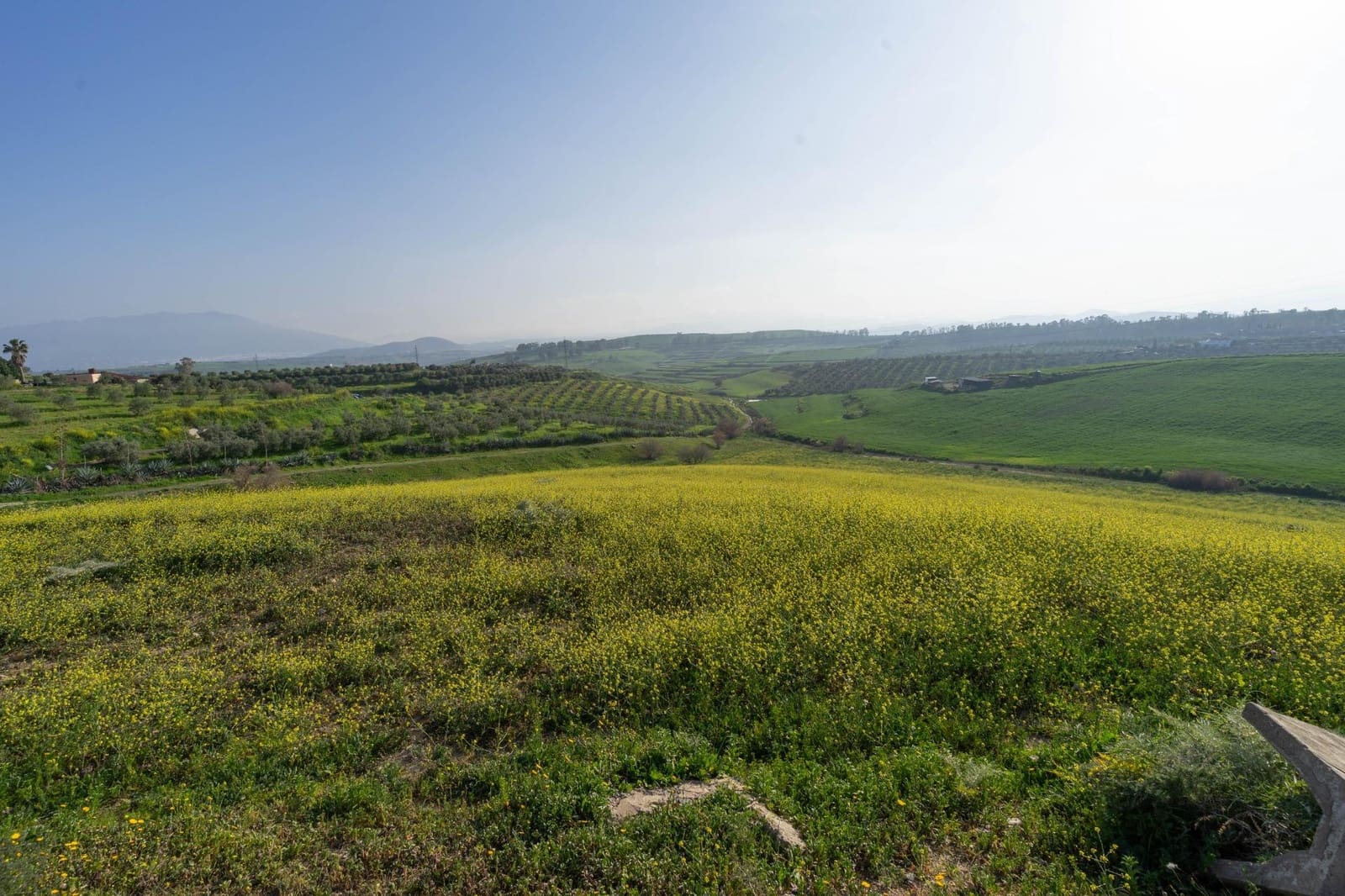 Teren niezagospodarowany na sprzedaż w Cartama - 200 000 € (Ref: 8847641)