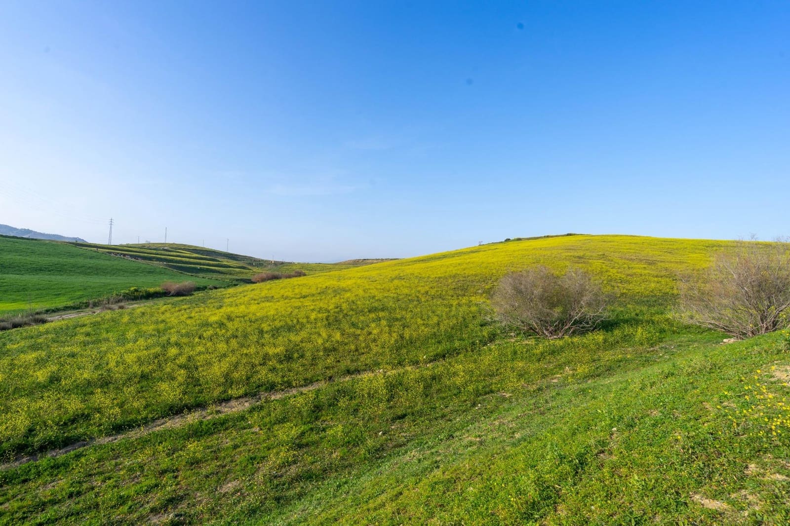 Teren niezagospodarowany na sprzedaż w Cartama - 200 000 € (Ref: 8847641)