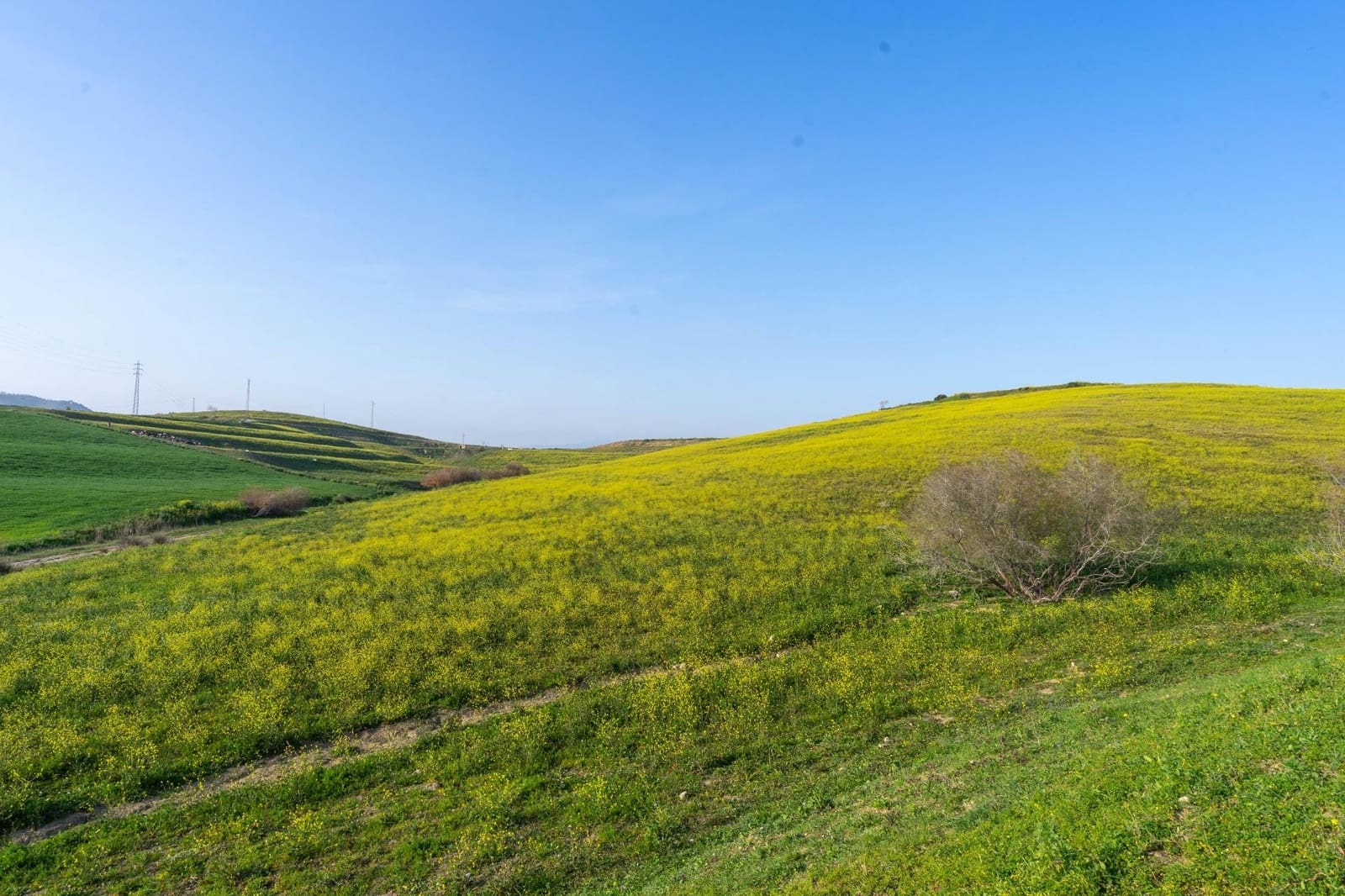 Teren niezagospodarowany na sprzedaż w Cartama - 200 000 € (Ref: 8847641)
