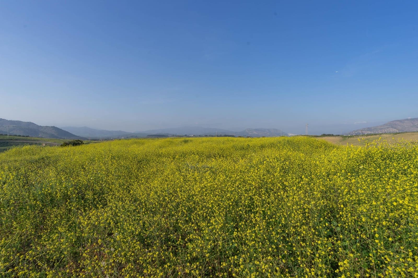 Teren niezagospodarowany na sprzedaż w Cartama - 200 000 € (Ref: 8847641)