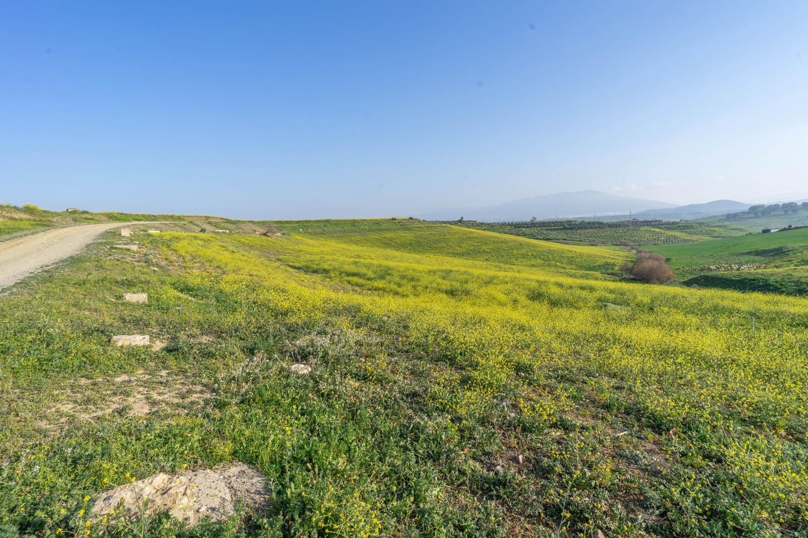 Teren niezagospodarowany na sprzedaż w Cartama - 200 000 € (Ref: 8847641)