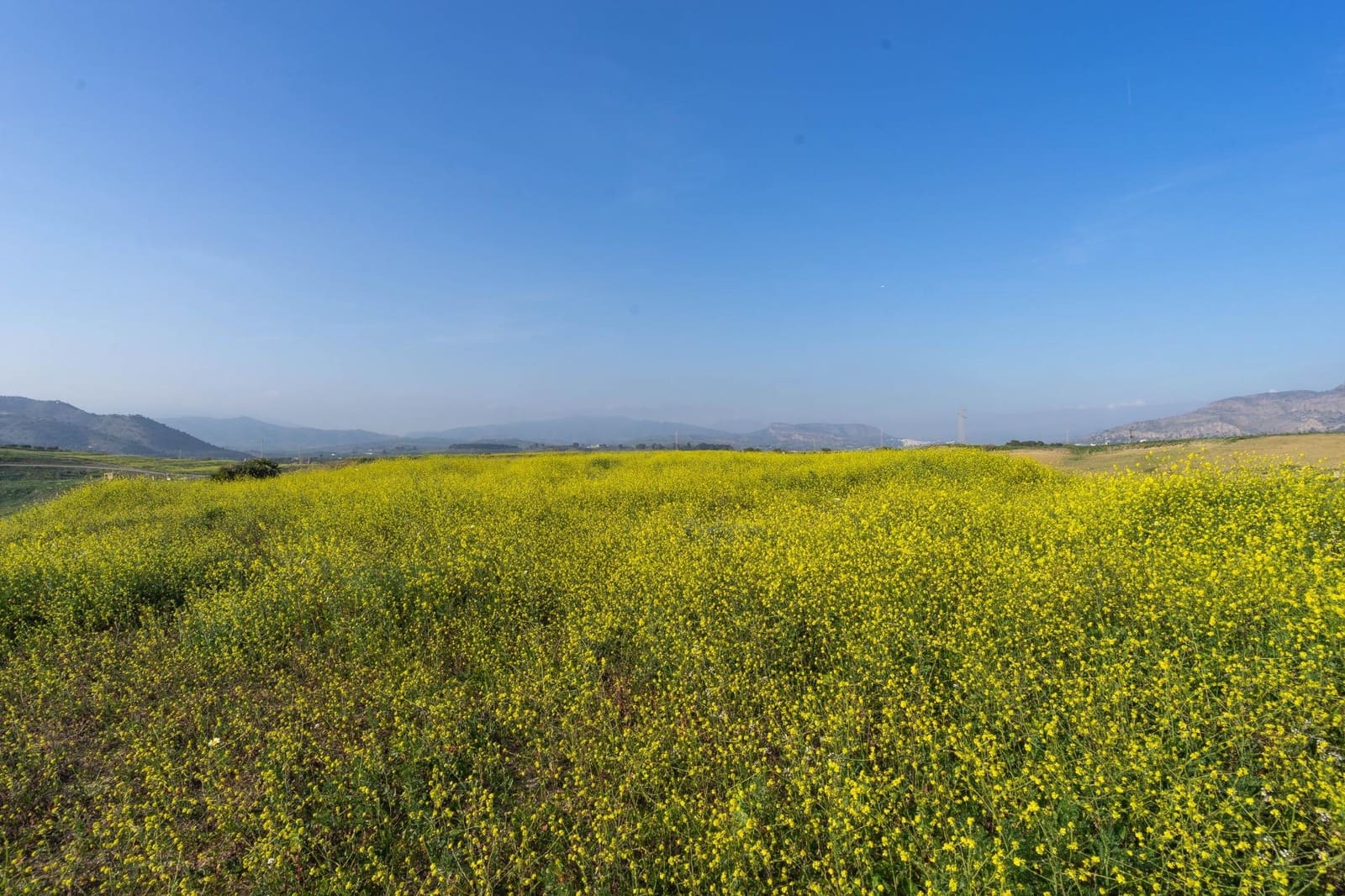 Teren niezagospodarowany na sprzedaż w Cartama - 200 000 € (Ref: 8847641)