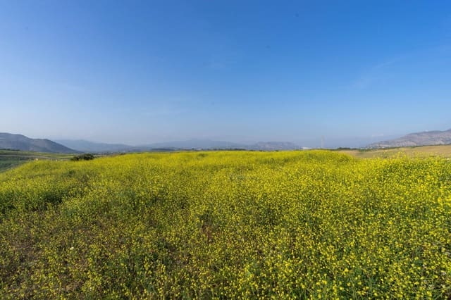 Grunde uden byggetilladelser til salg i Cártama - € 200.000 (Ref: 8847641)