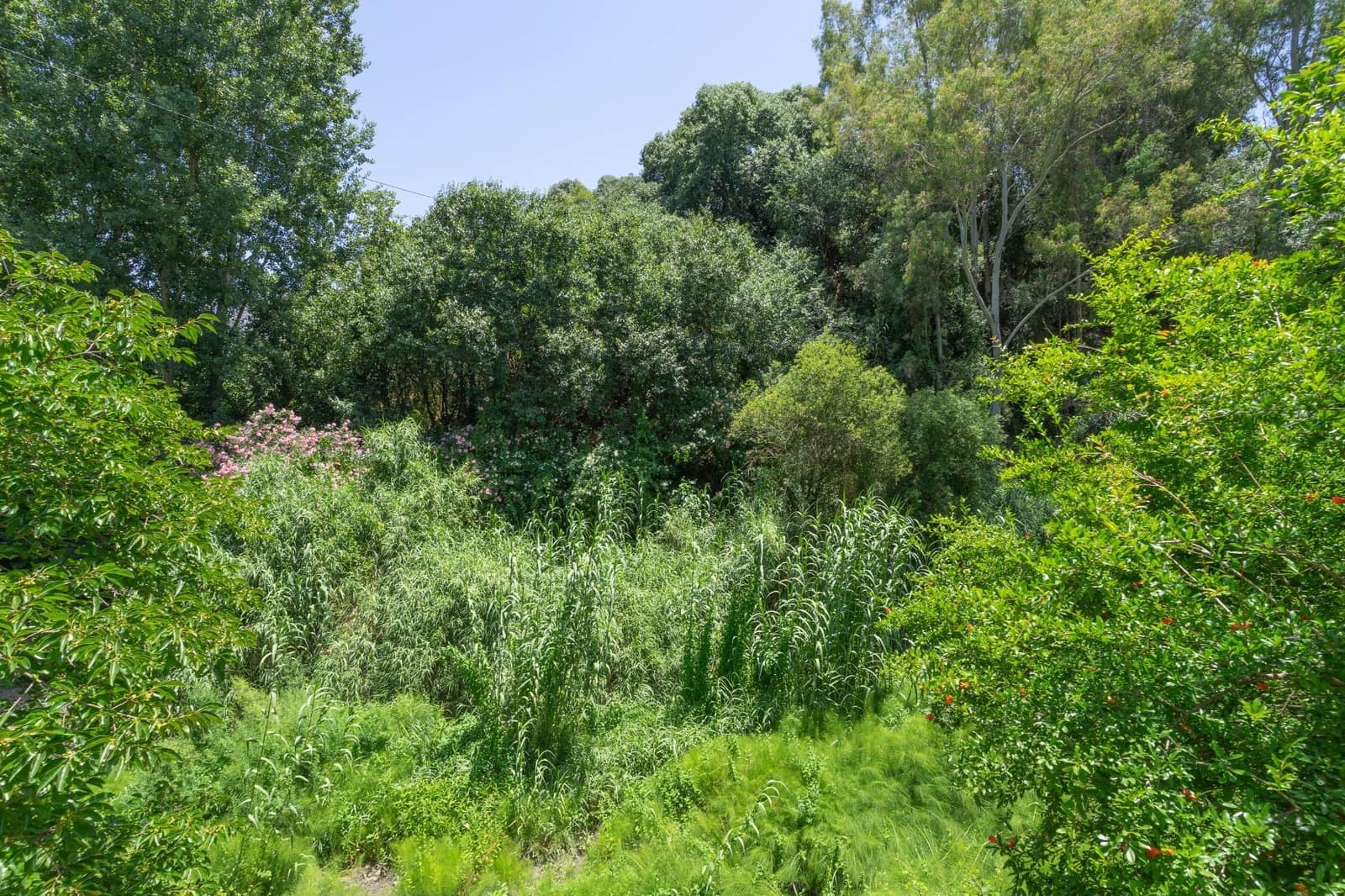 3 soveværelse Villa til salg i Alhaurin el Grande med swimmingpool - € 450.000 (Ref: 9944163)