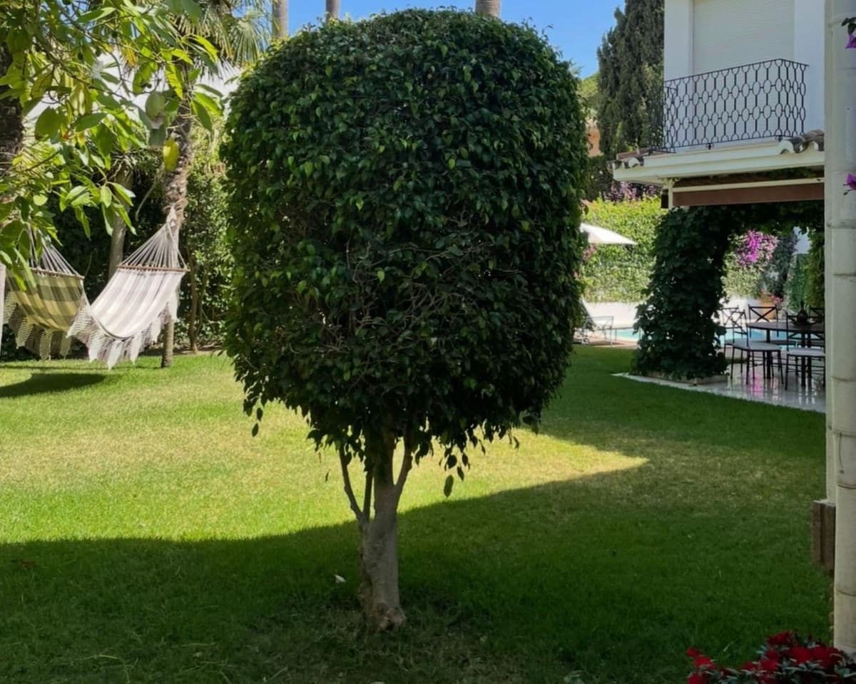 Chalet de 5 habitaciones en Los Monteros en venta con piscina garaje - 3.900.000 € (Ref: 10057400)
