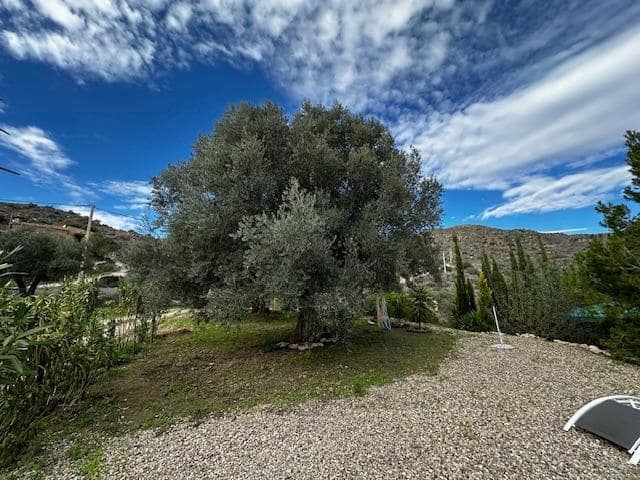 3 bedroom Finca/Country House for sale in Cariatiz with garage - € 155,000 (Ref: 8663123)