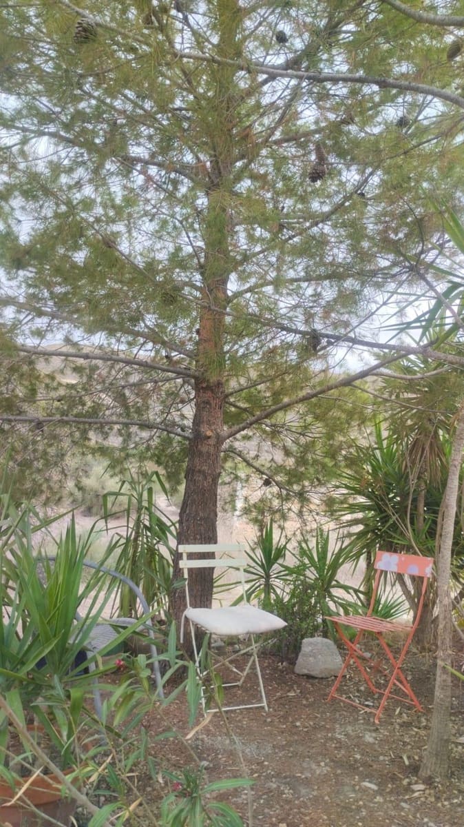 3 bedroom Finca/Country House for sale in Cariatiz with garage - € 155,000 (Ref: 8663123)