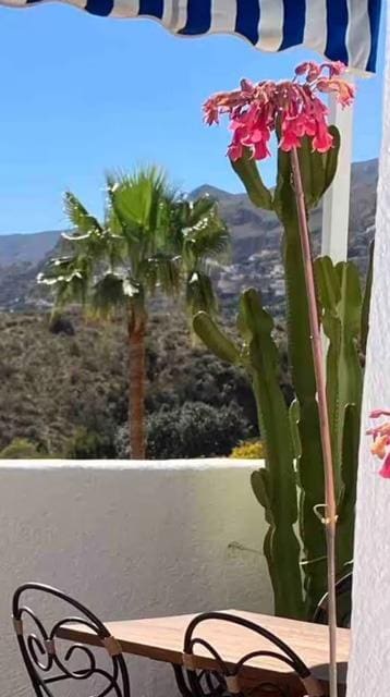 2 Zimmer Apartment zu verkaufen in Mojacar mit Pool Garage - 219.900 € (Ref: 9189114)