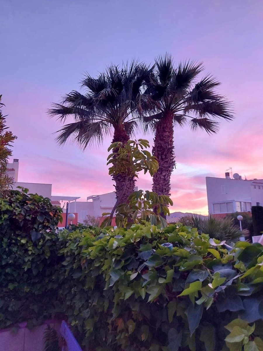 3 soveværelse Lejlighed til salg i Vera - € 299.000 (Ref: 9330582)