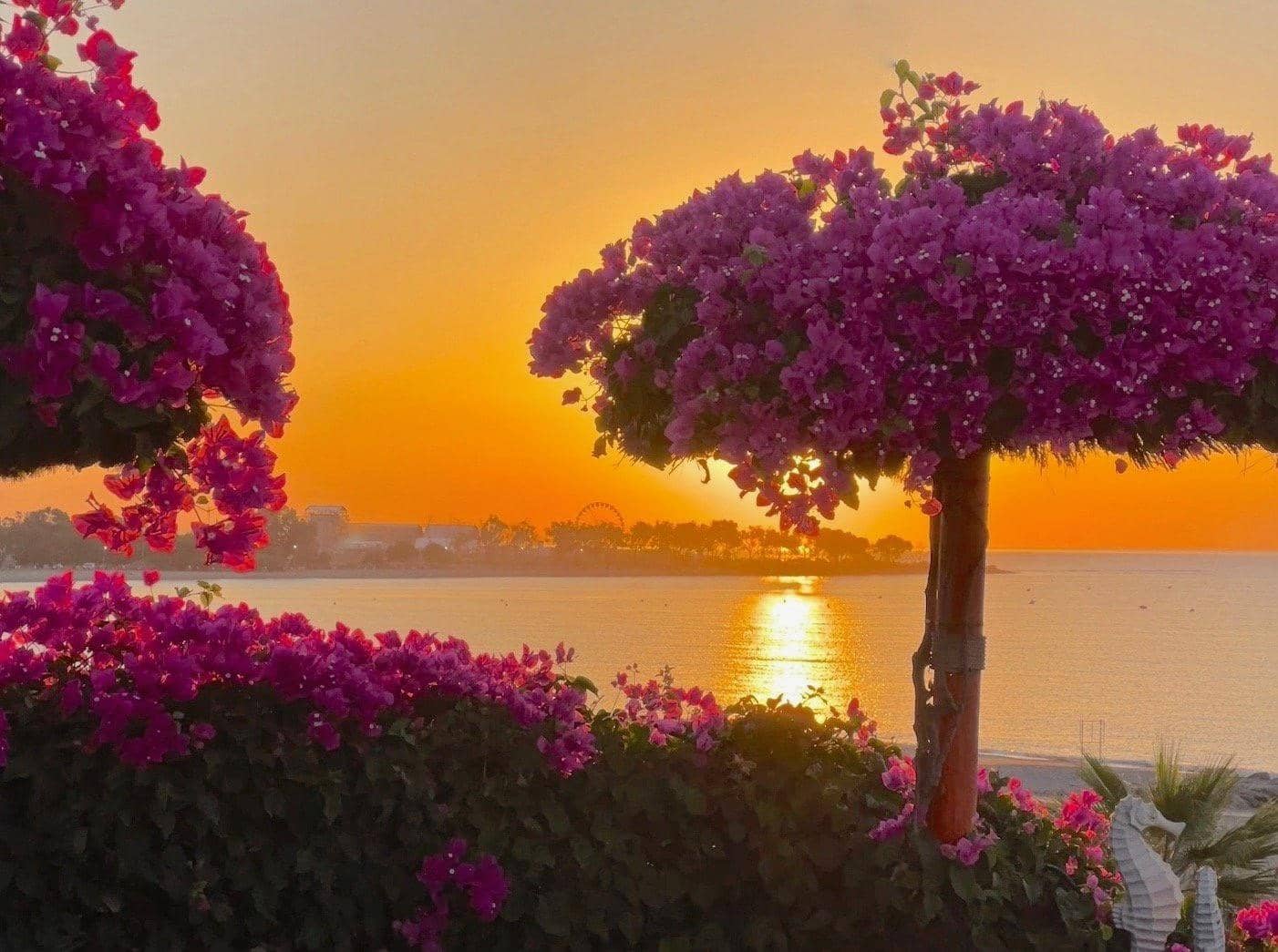 4 Zimmer Villa zu verkaufen in Vera - 1.095.000 € (Ref: 9472945)