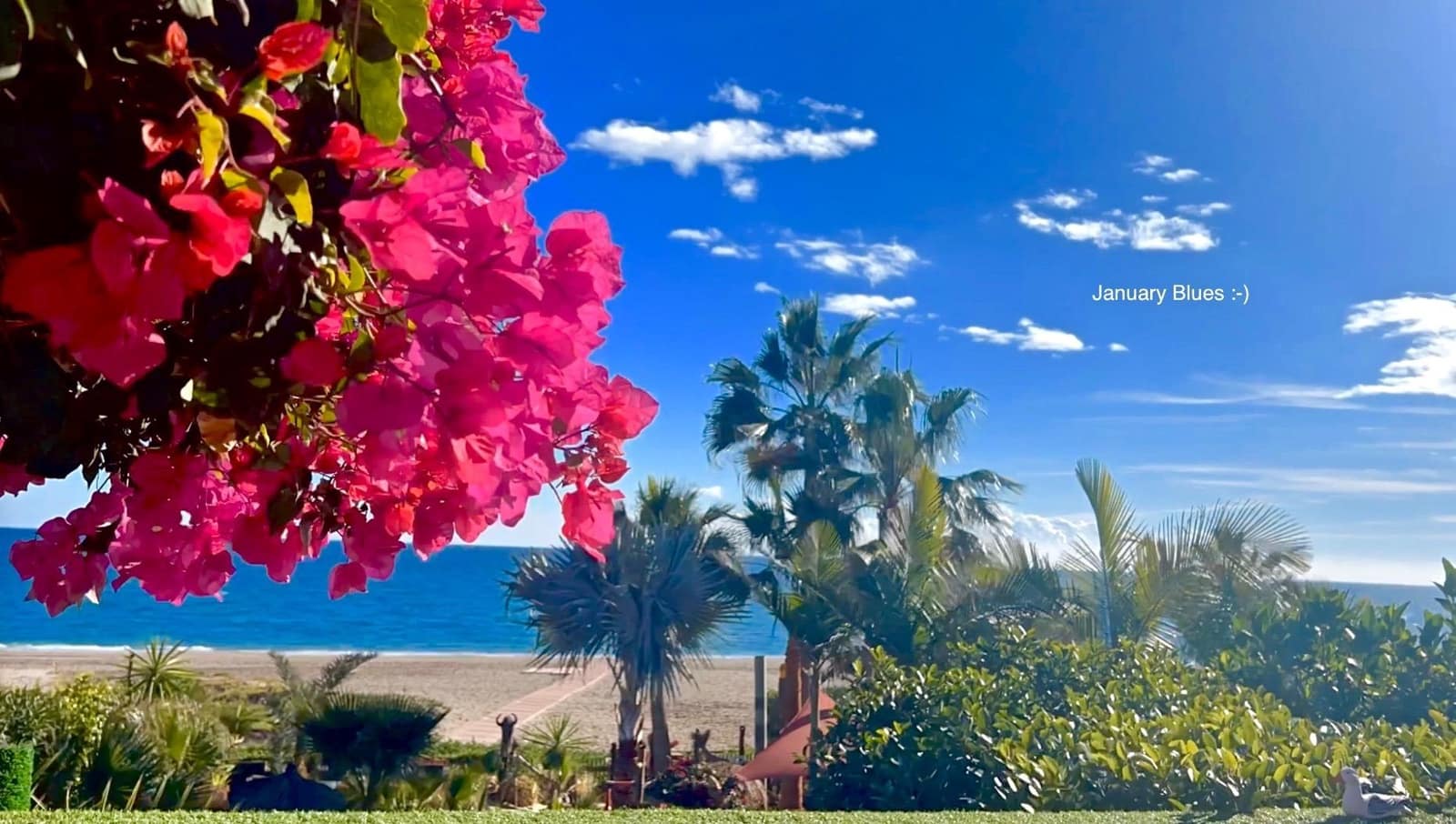 4 Zimmer Villa zu verkaufen in Vera - 1.095.000 € (Ref: 9472945)