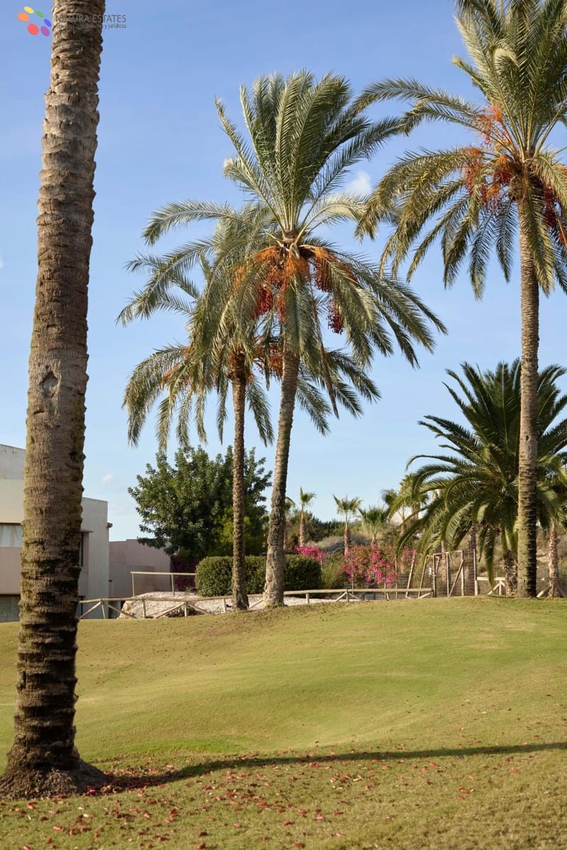 3 camera da letto Villetta Bifamiliare in vendita in Vera con piscina garage - 315.000 € (Rif: 9656042)