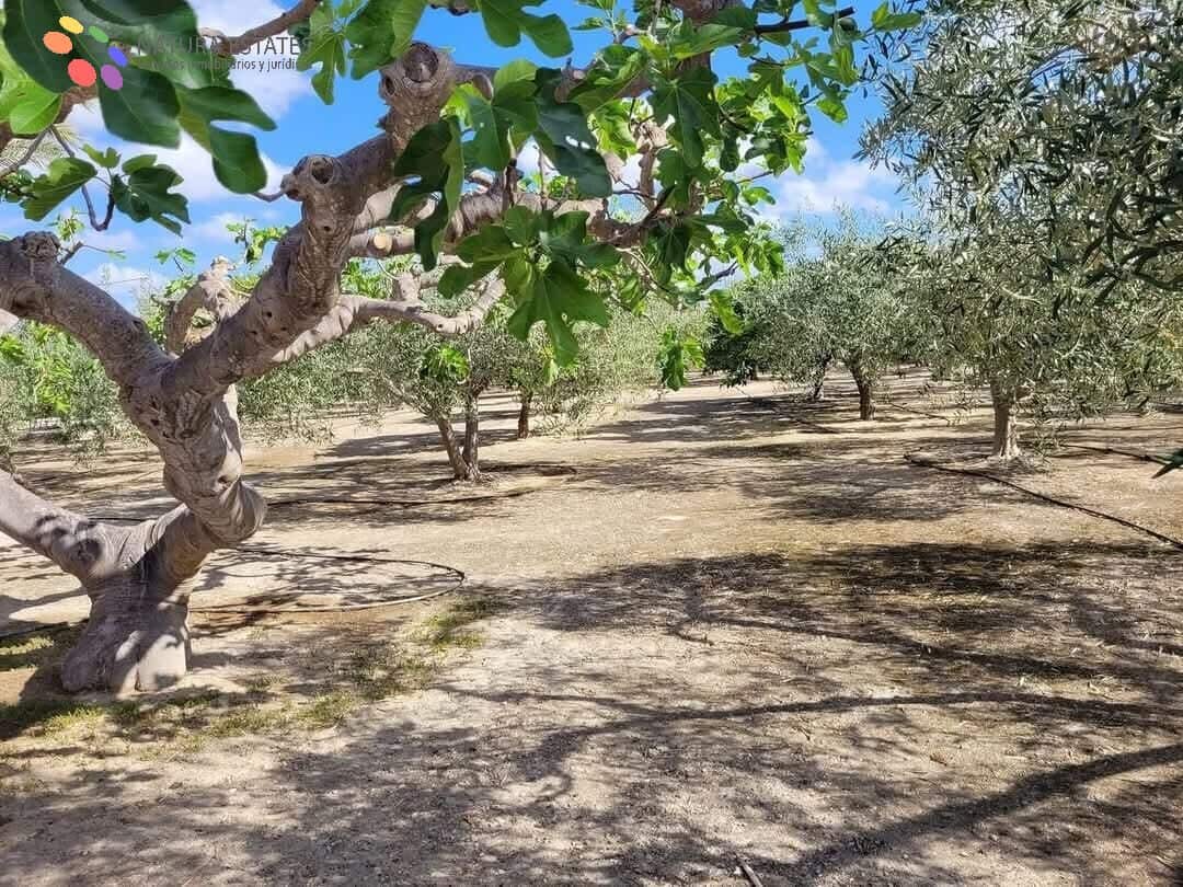 4 bedroom Finca/Country House for sale in Mojacar with pool garage - € 398,000 (Ref: 9758926)