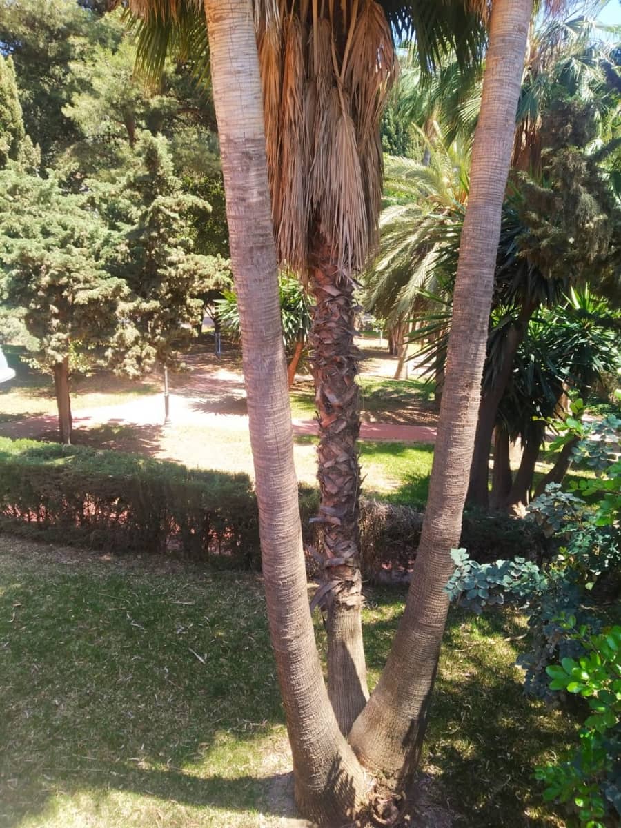 4 soverom Villa til salgs i Malaga by med svømmebasseng garasje - € 1 180 000 (Ref: 6805598)