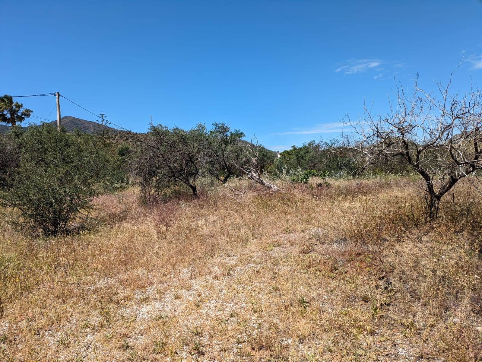 4 camera da letto Finca/Casa di Campagna in vendita in Alora con garage - 210.000 € (Rif: 8279189)