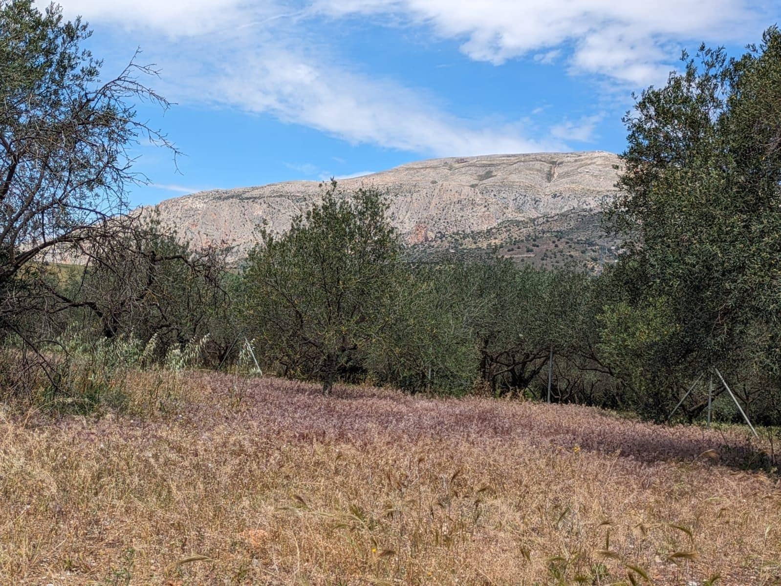 4 camera da letto Finca/Casa di Campagna in vendita in Alora con garage - 210.000 € (Rif: 8279189)