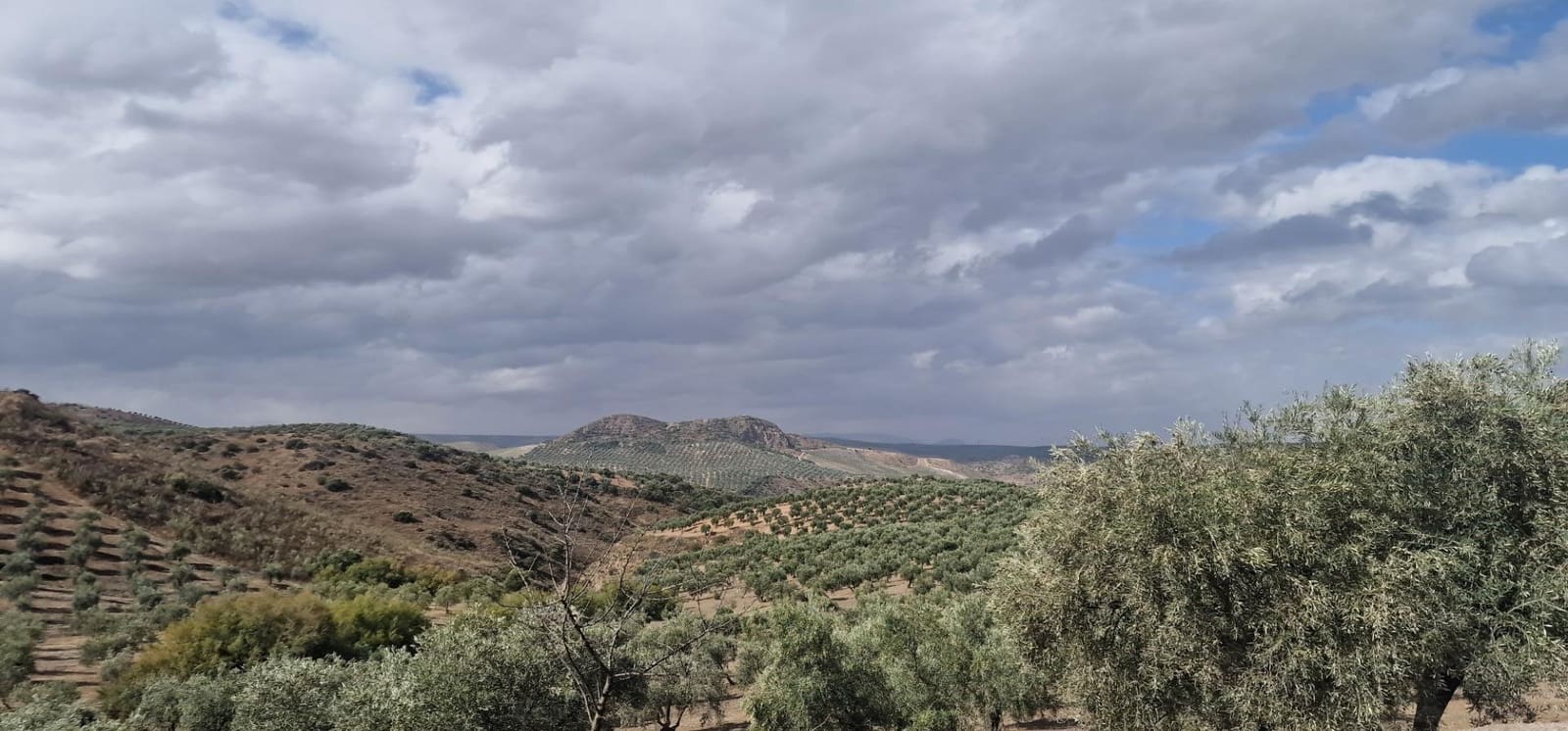 Finka/Dom wiejski na sprzedaż w Alameda z garażem - 3 700 000 € (Ref: 8698160)