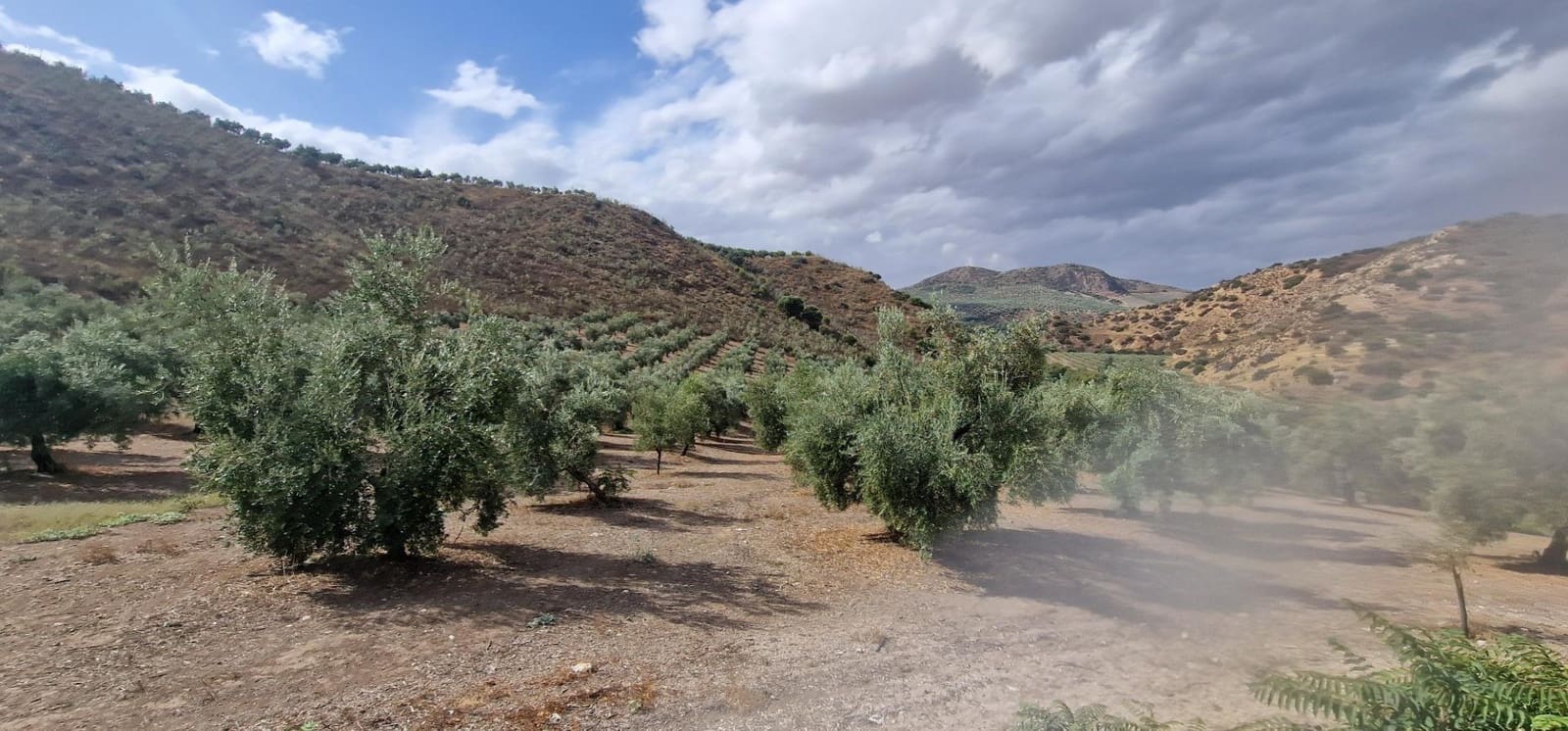 Finka/Dom wiejski na sprzedaż w Alameda z garażem - 3 700 000 € (Ref: 8698160)