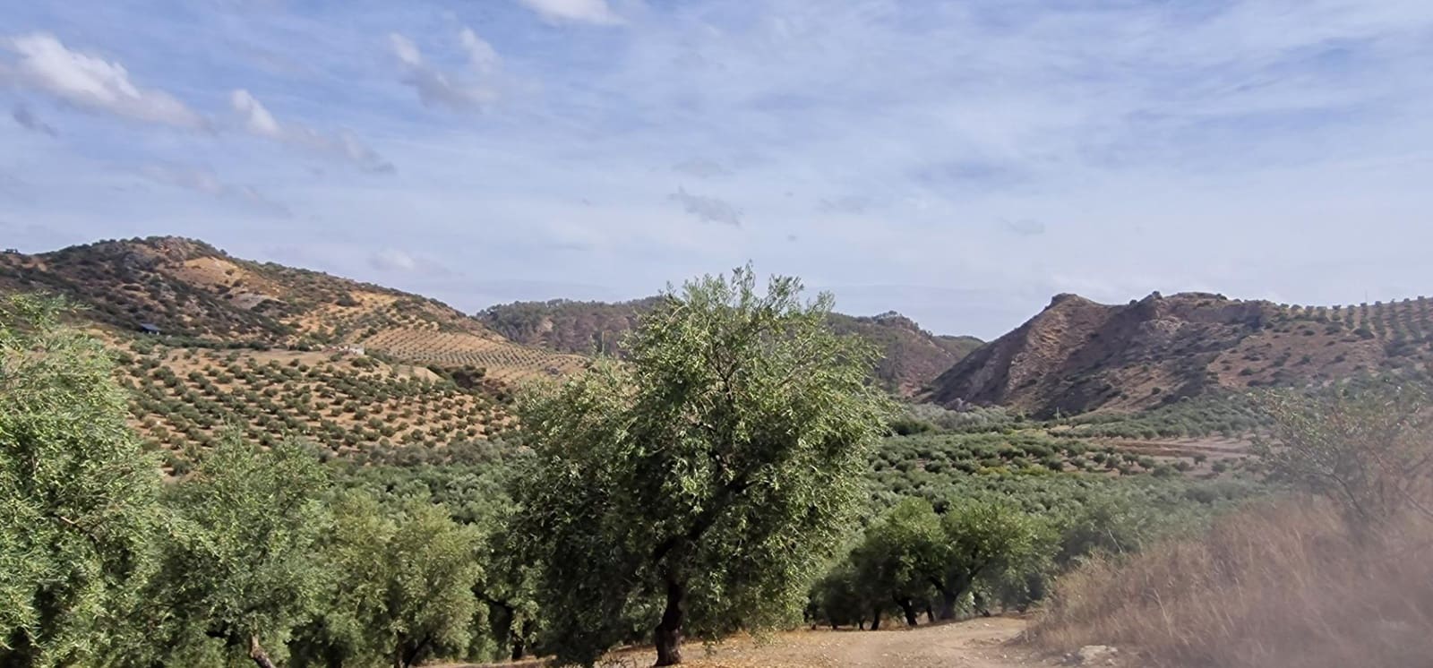 Finka/Dom wiejski na sprzedaż w Alameda z garażem - 3 700 000 € (Ref: 8698160)