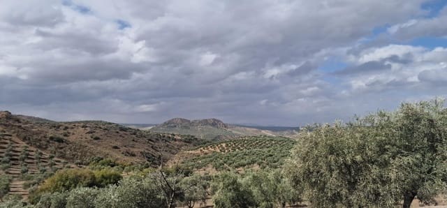 Finka/Dom wiejski na sprzedaż w Alameda z garażem - 3 700 000 € (Ref: 8698160)